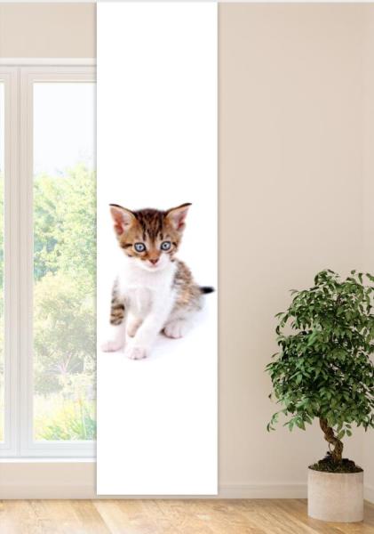 Träumli Katzenbaby, Flächenvorhang Einzel